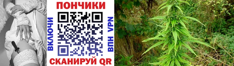 Цена Ногинск LSD-25  Alpha-PVP  Гашиш  Меф мяу мяу  Марихуана  Метамфетамин 
