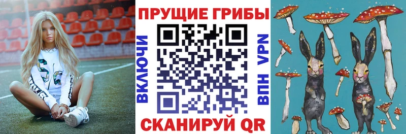 MEGA онион Ногинск Галлюциногенные грибы мухоморы