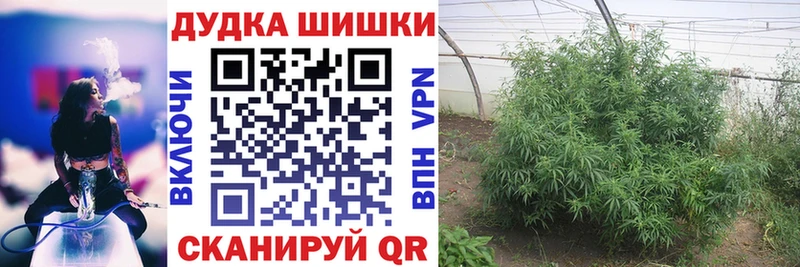 Шишки марихуана гибрид купить Ногинск